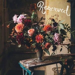 Bundle for Dear VBFF